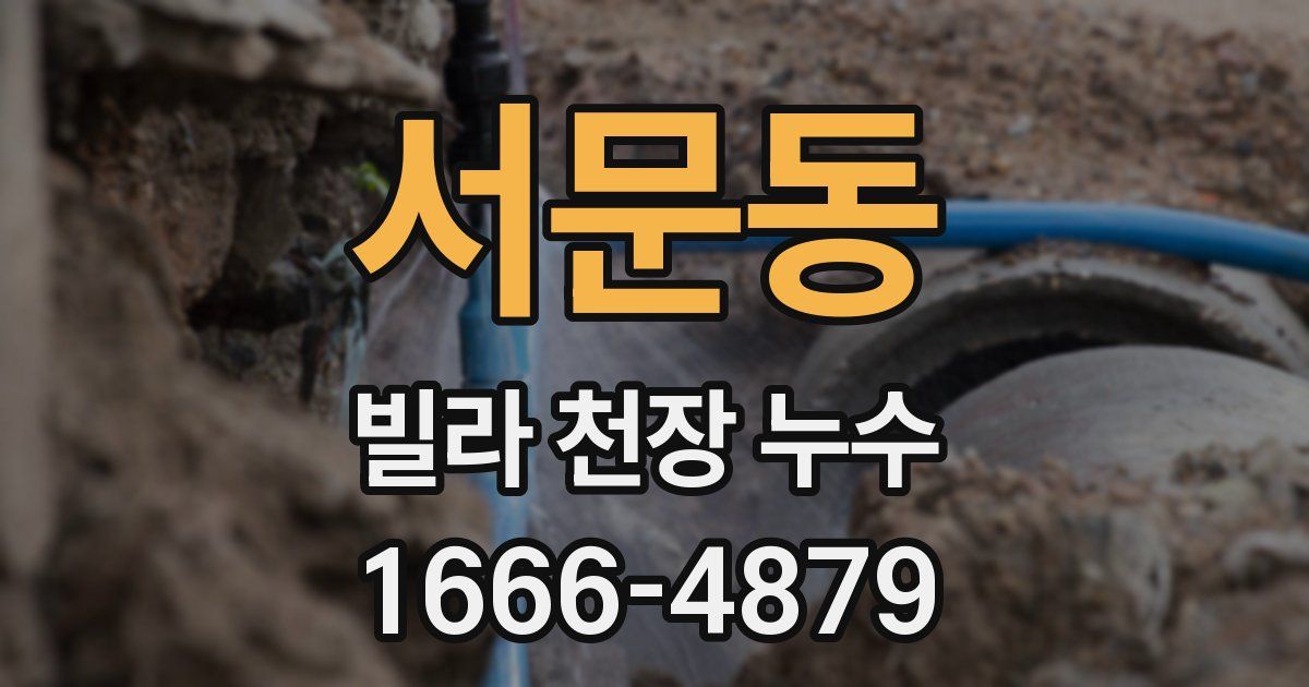 서문동 빌라 천장 누수