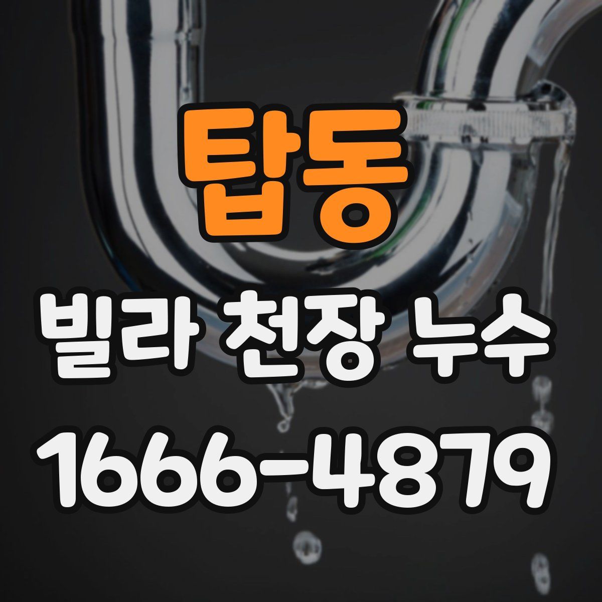 탑동 빌라 천장 누수