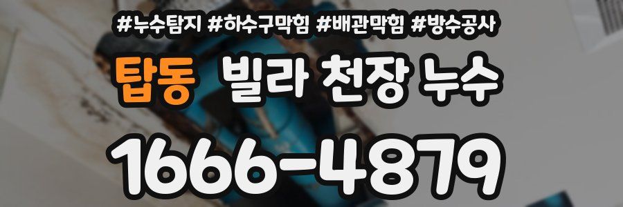 탑동 빌라 천장 누수