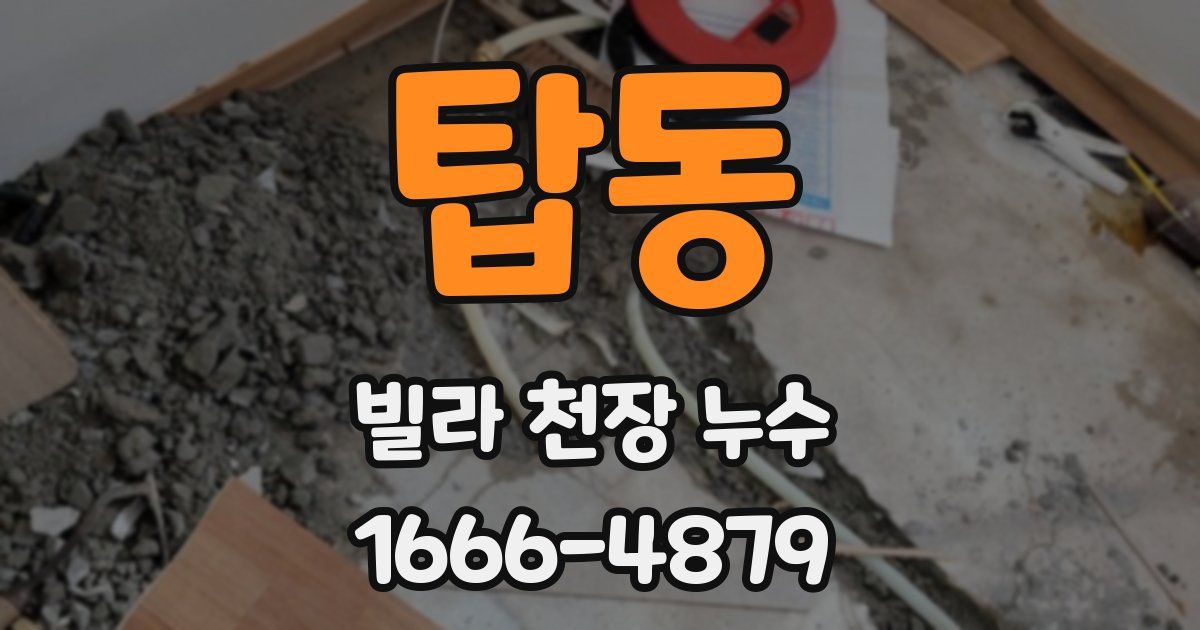 탑동 빌라 천장 누수