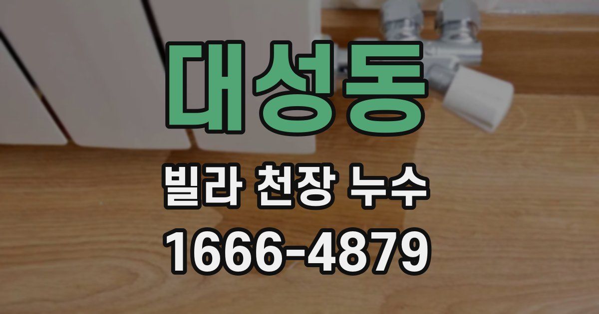 대성동 빌라 천장 누수