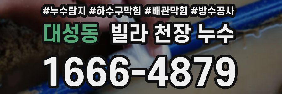대성동 빌라 천장 누수