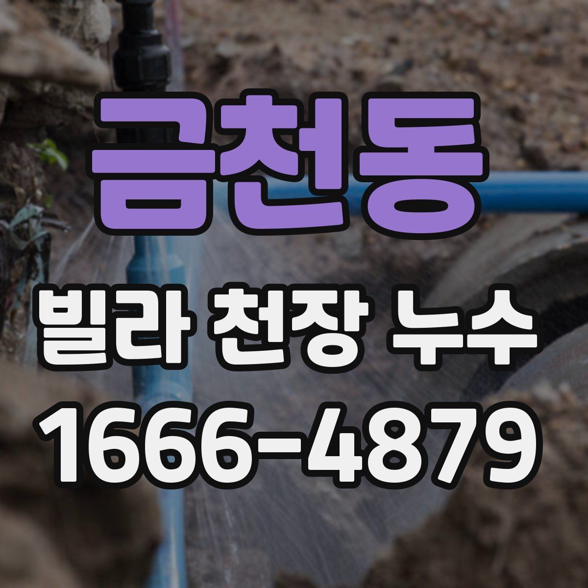 금천동 빌라 천장 누수