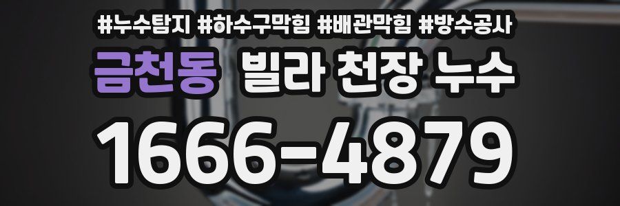 금천동 빌라 천장 누수