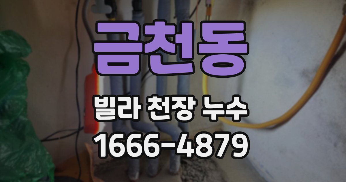 금천동 빌라 천장 누수