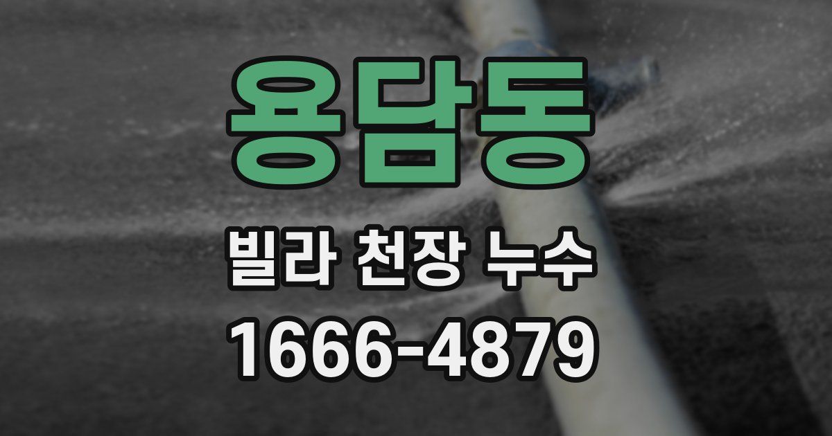 용담동 빌라 천장 누수