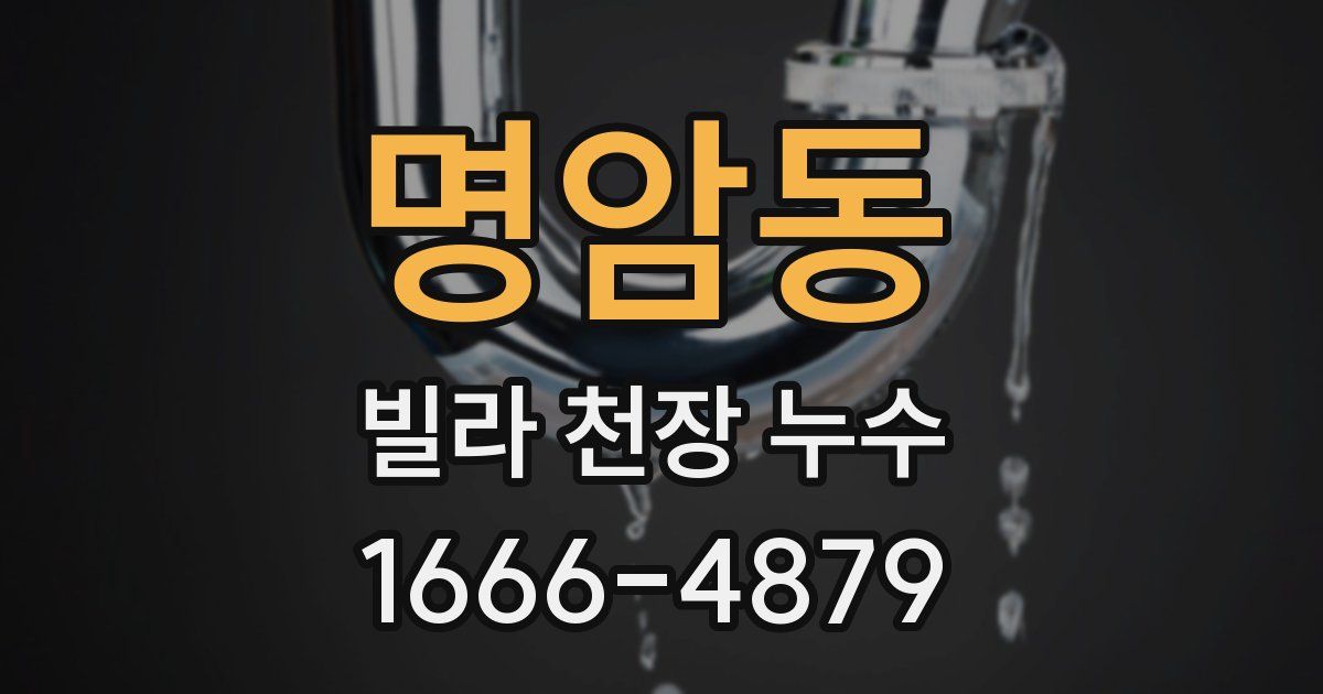 명암동 빌라 천장 누수