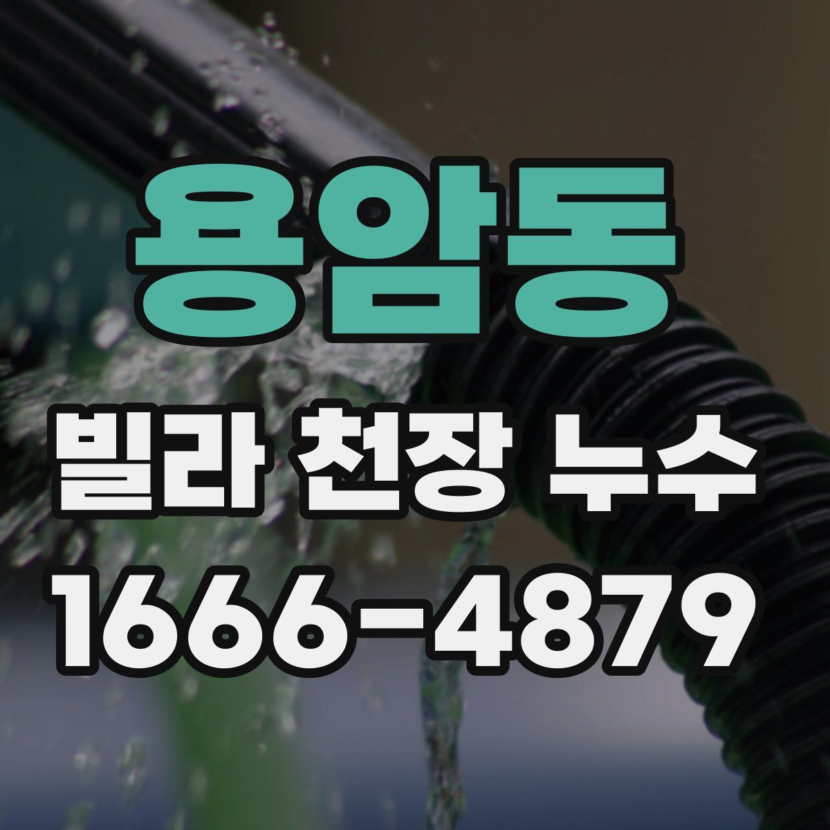 용암동 빌라 천장 누수