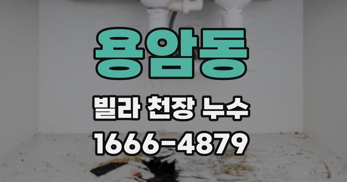 용암동 빌라 천장 누수