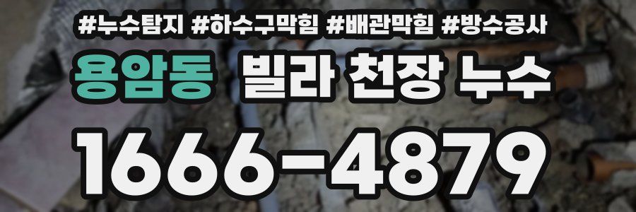 용암동 빌라 천장 누수