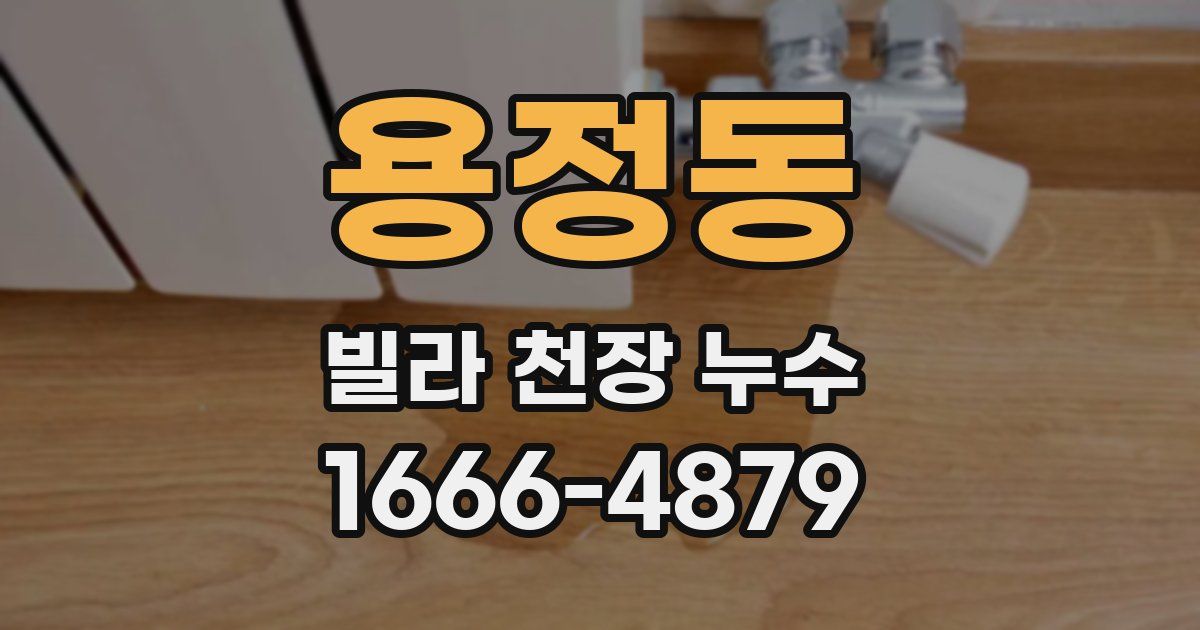 용정동 빌라 천장 누수