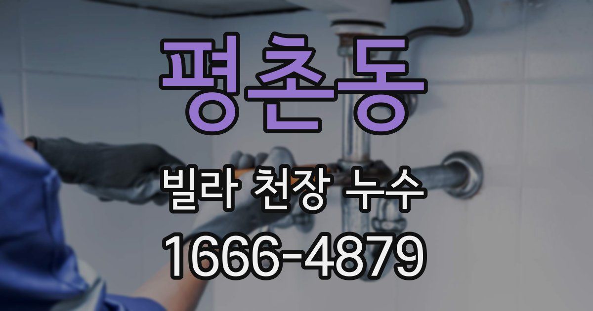 평촌동 빌라 천장 누수