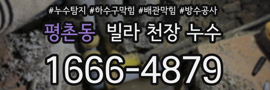 평촌동 빌라 천장 누수