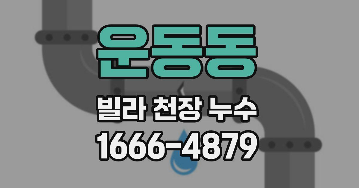 운동동 빌라 천장 누수