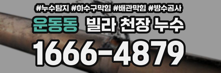 운동동 빌라 천장 누수