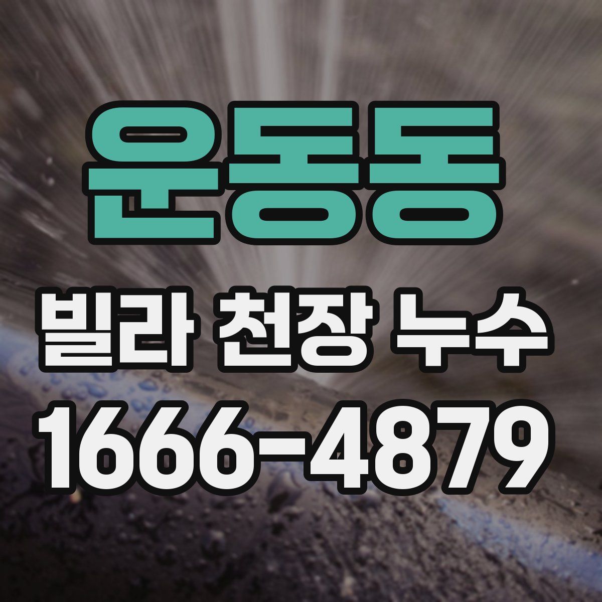 운동동 빌라 천장 누수