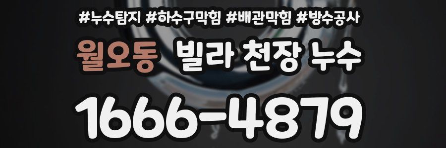 월오동 빌라 천장 누수