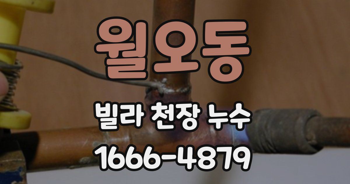 월오동 빌라 천장 누수