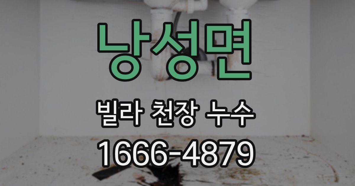 낭성면 빌라 천장 누수