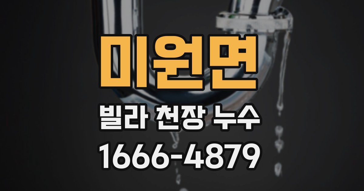 미원면 빌라 천장 누수