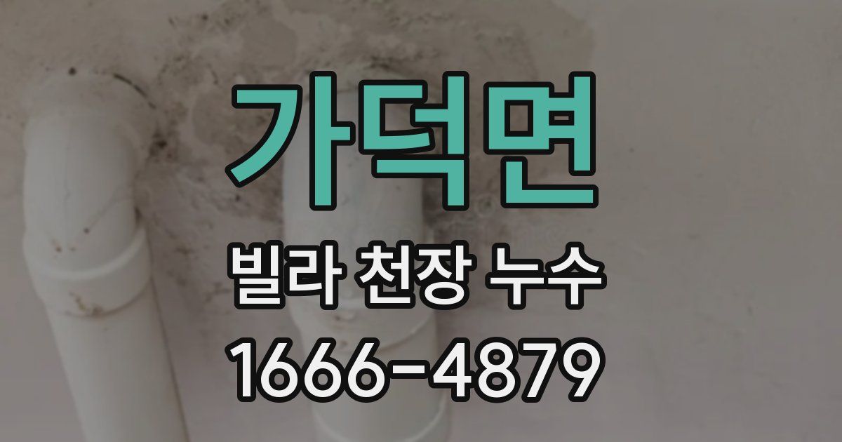 가덕면 빌라 천장 누수