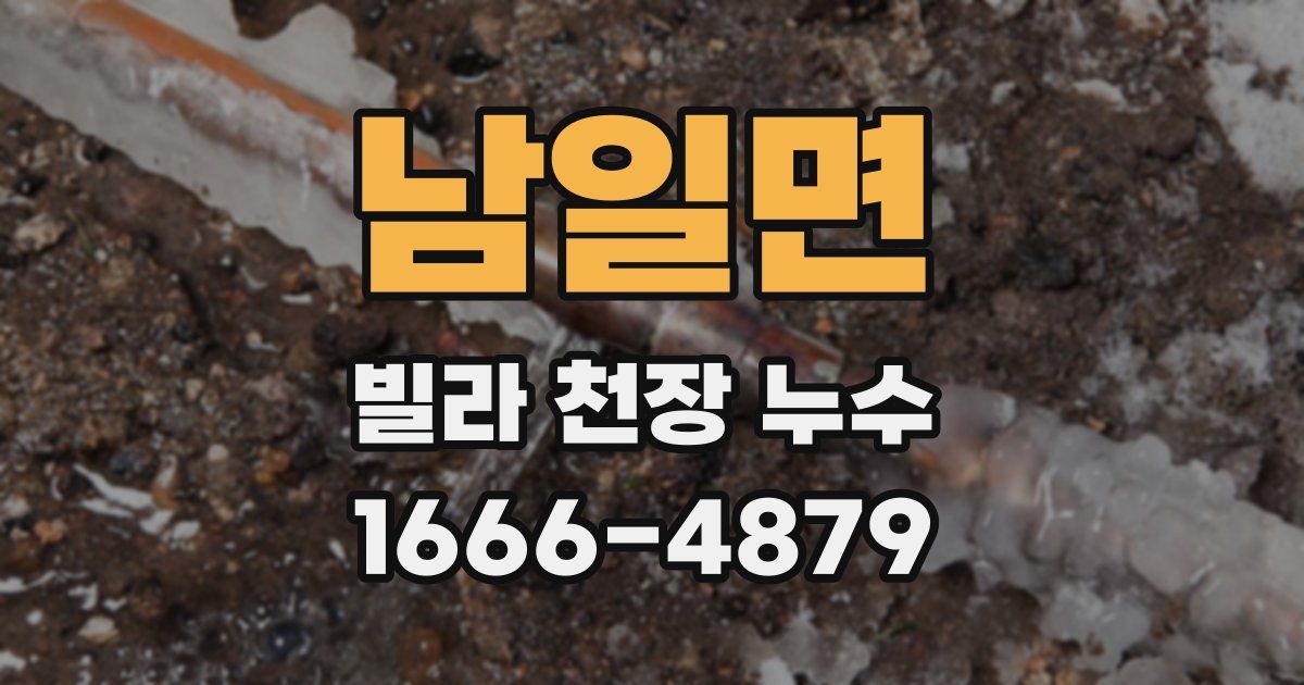 남일면 빌라 천장 누수