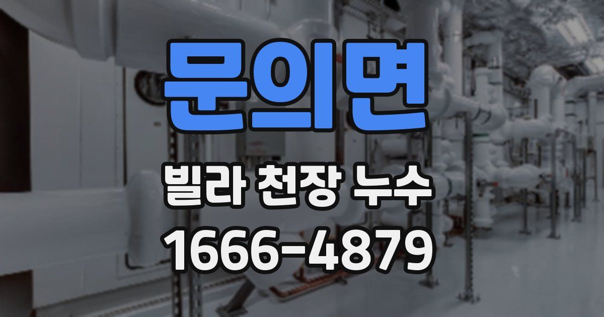 문의면 빌라 천장 누수