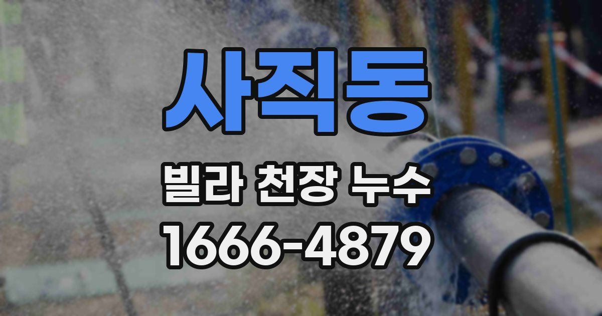 사직동 빌라 천장 누수