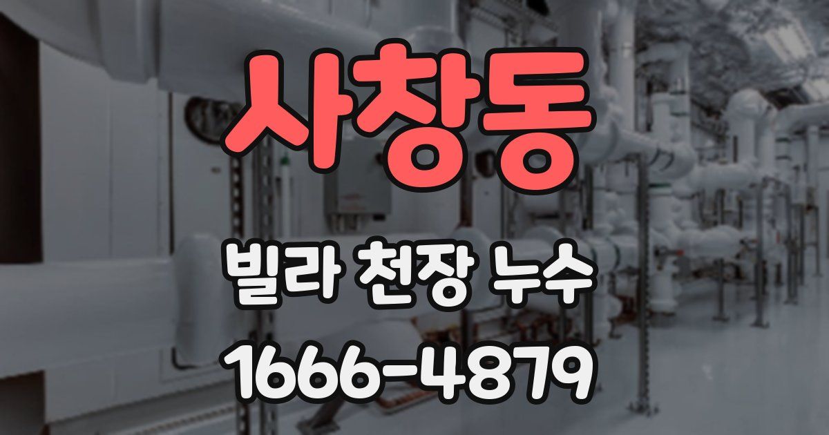 사창동 빌라 천장 누수