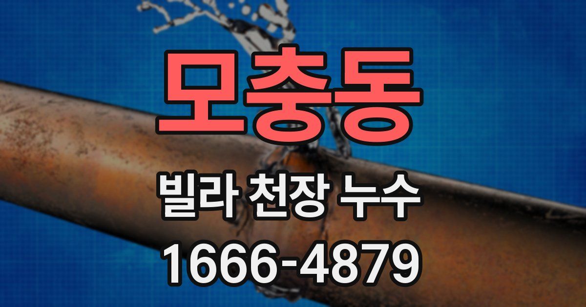 모충동 빌라 천장 누수