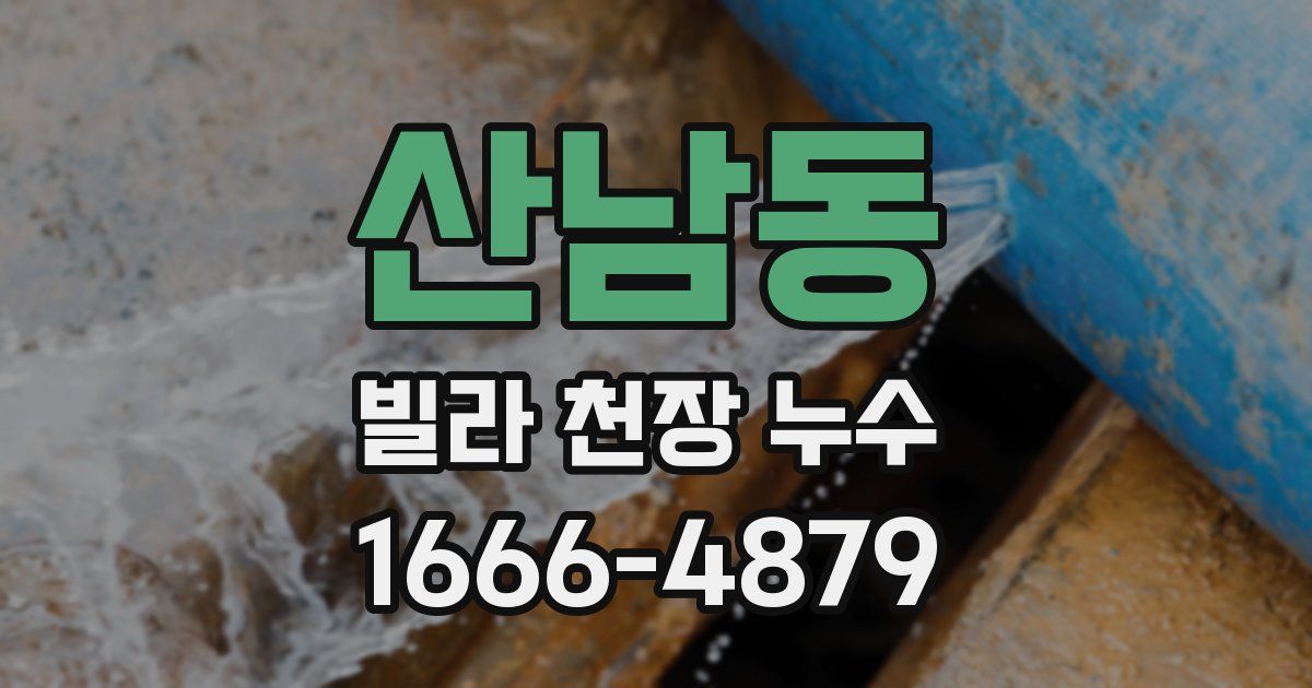 산남동 빌라 천장 누수