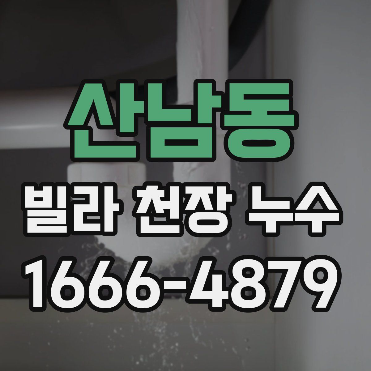 산남동 빌라 천장 누수