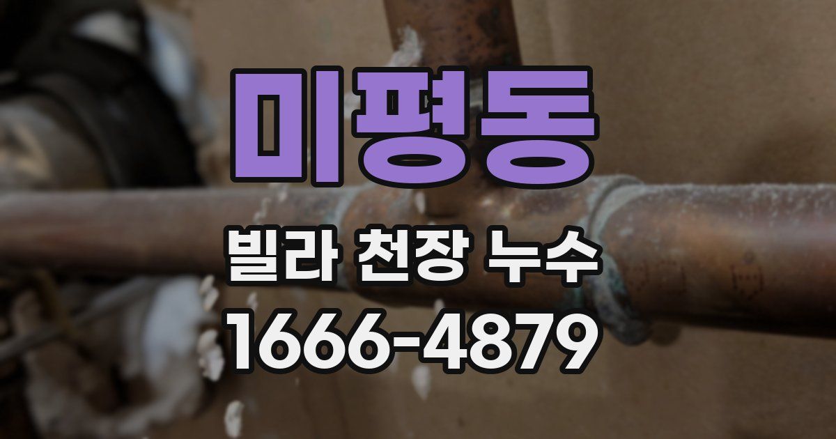 미평동 빌라 천장 누수