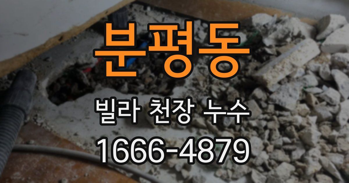 분평동 빌라 천장 누수