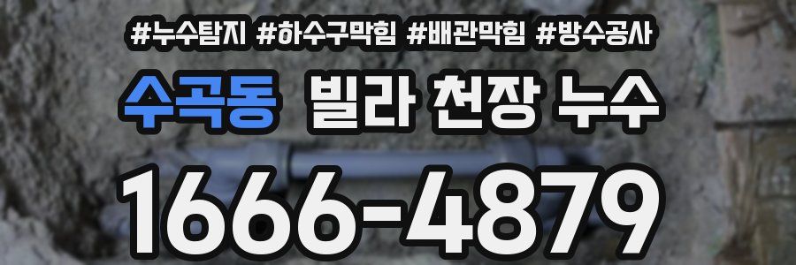 수곡동 빌라 천장 누수