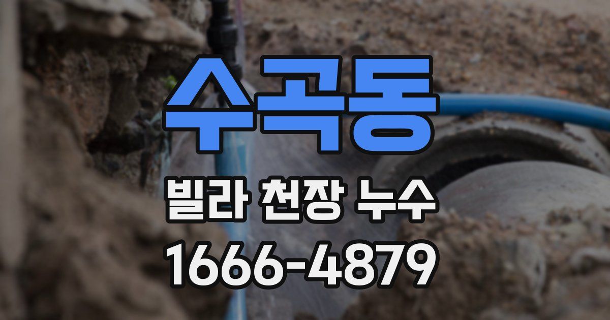 수곡동 빌라 천장 누수