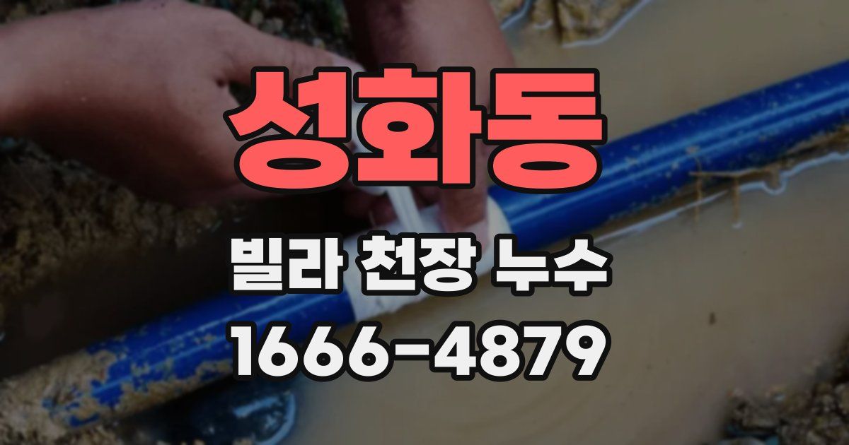 성화동 빌라 천장 누수