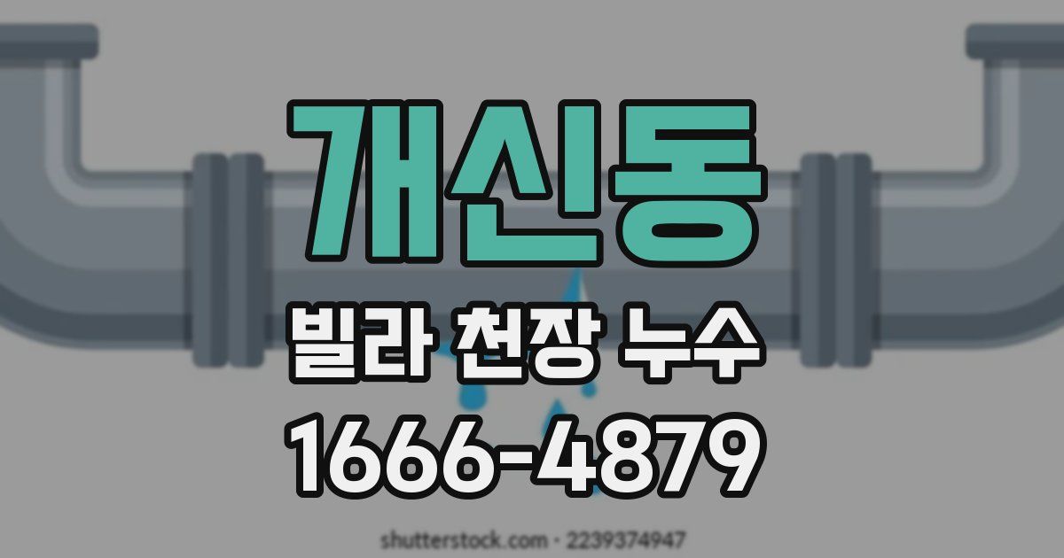 개신동 빌라 천장 누수