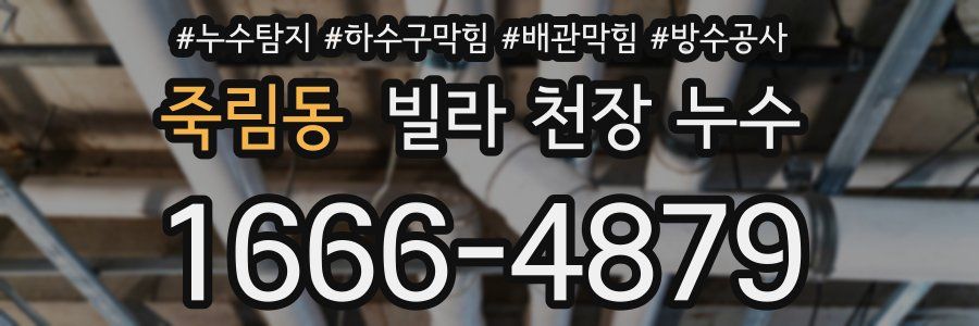 죽림동 빌라 천장 누수