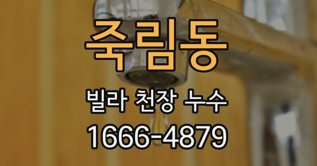 죽림동 빌라 천장 누수