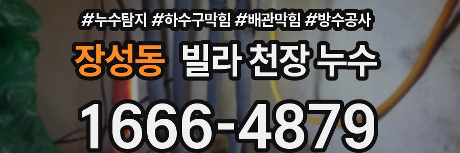 장성동 빌라 천장 누수