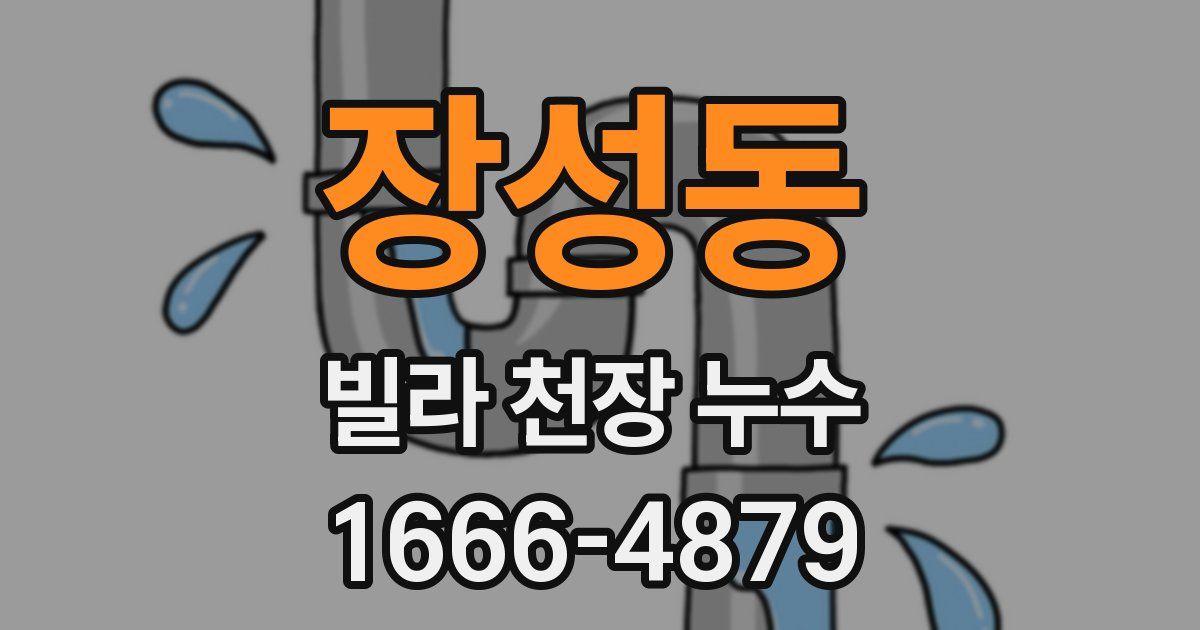 장성동 빌라 천장 누수