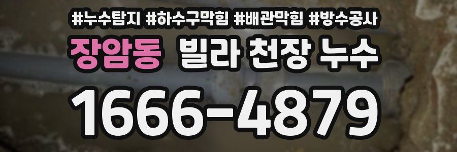 장암동 빌라 천장 누수