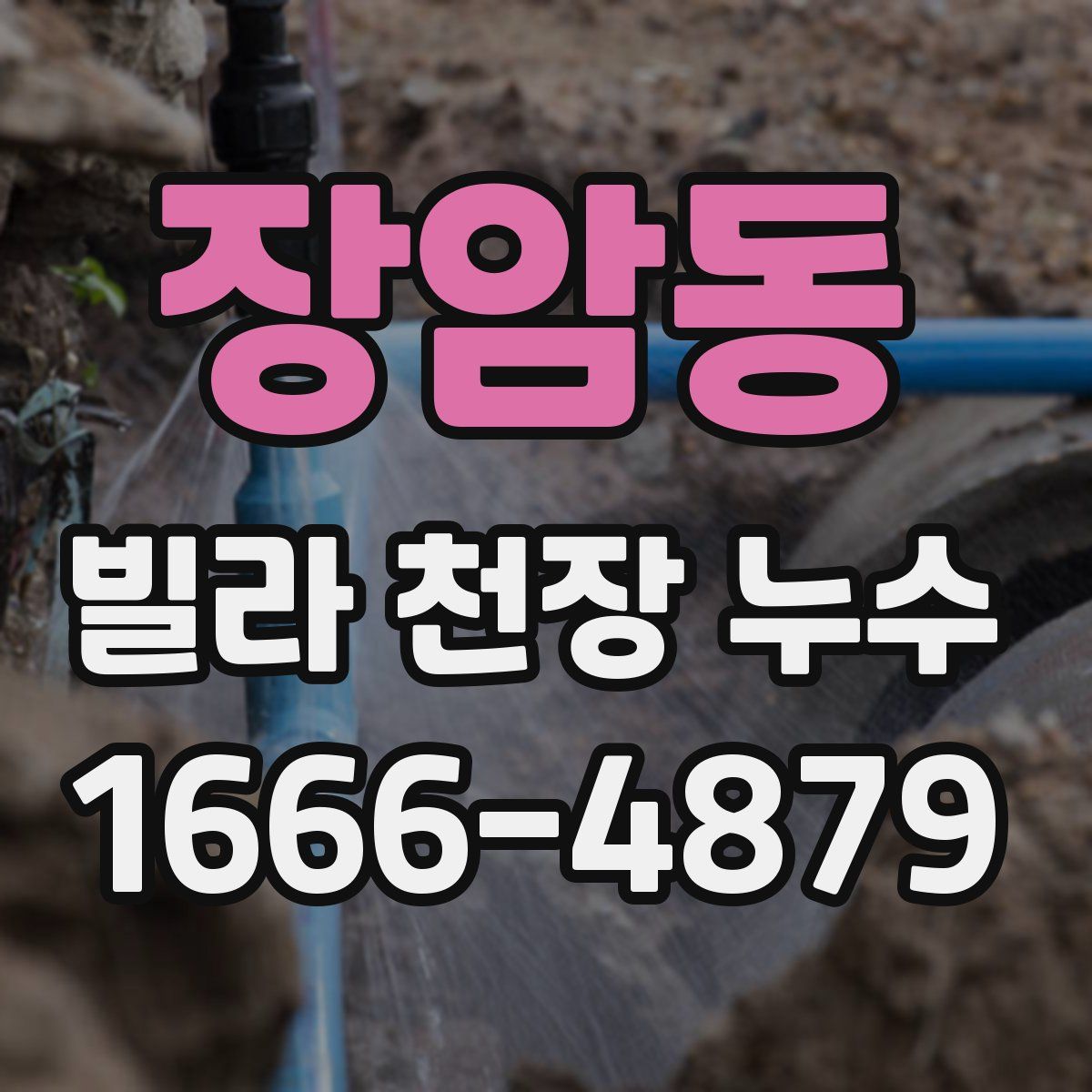 장암동 빌라 천장 누수