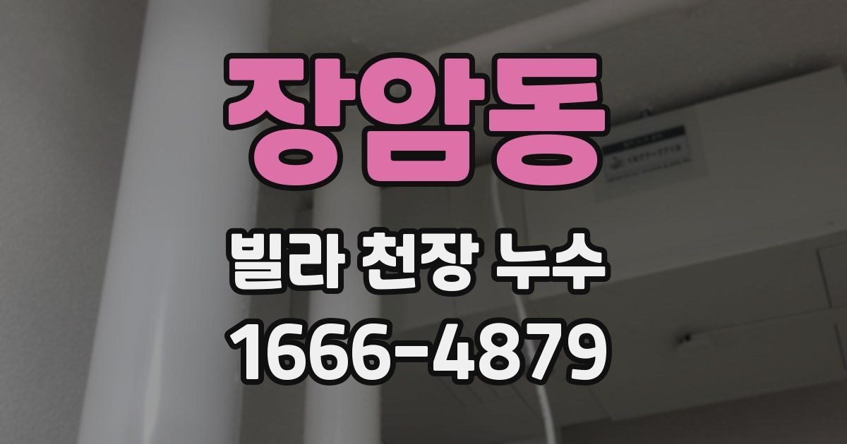 장암동 빌라 천장 누수