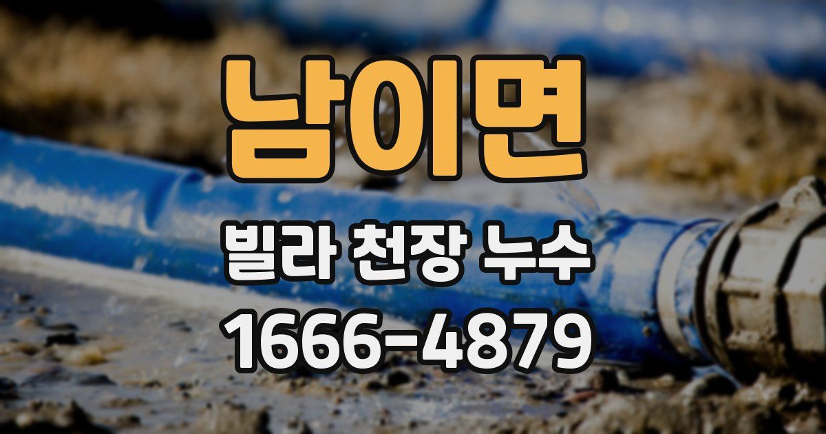남이면 빌라 천장 누수