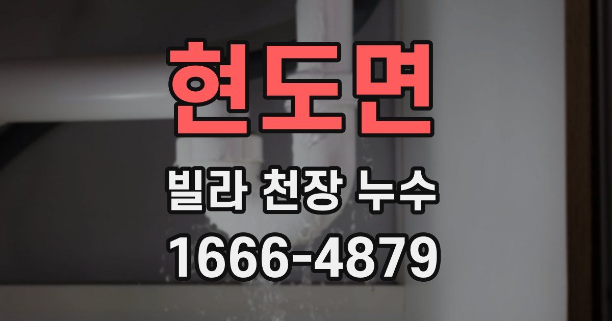 현도면 빌라 천장 누수