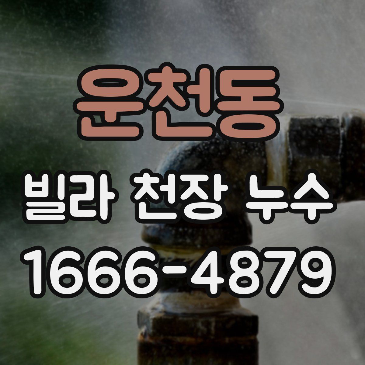 운천동 빌라 천장 누수