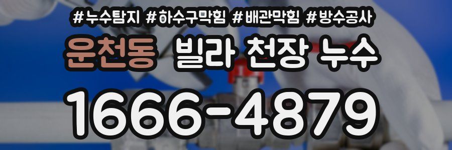 운천동 빌라 천장 누수