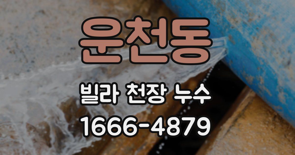 운천동 빌라 천장 누수